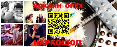 стаф Можга
