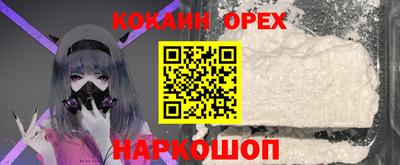 стаф Можга