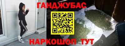 стаф Можга