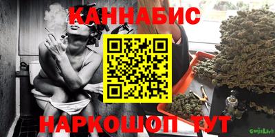 стаф Можга