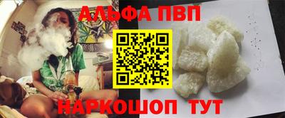 стаф Можга
