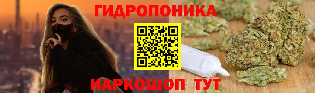 Бошки Шишки конопля  МАРИХУАНА семена  Томск  Бошки марихуана White Widow  Вход с VPN 
